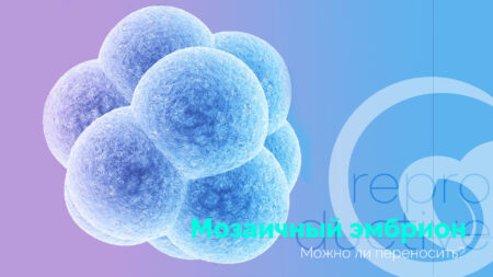 Mosaischer Embryo