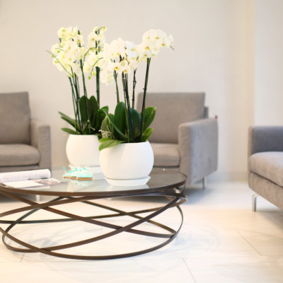 Фотогалерея: Reprolife на Печерске