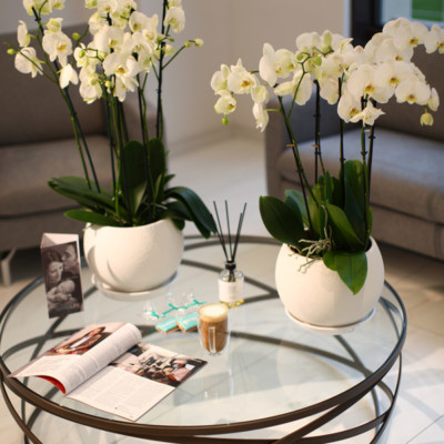 Фотогалерея: Reprolife на Печерске