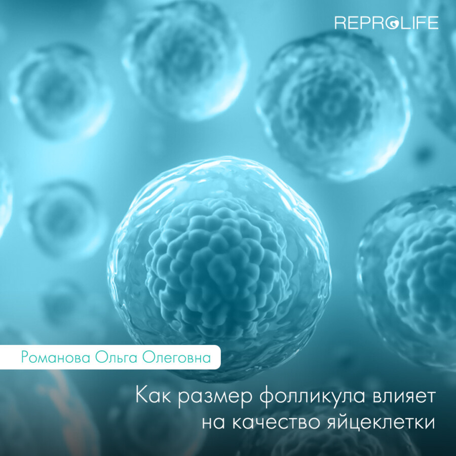 Вплив розміру фолікула на якість яйцеклітини