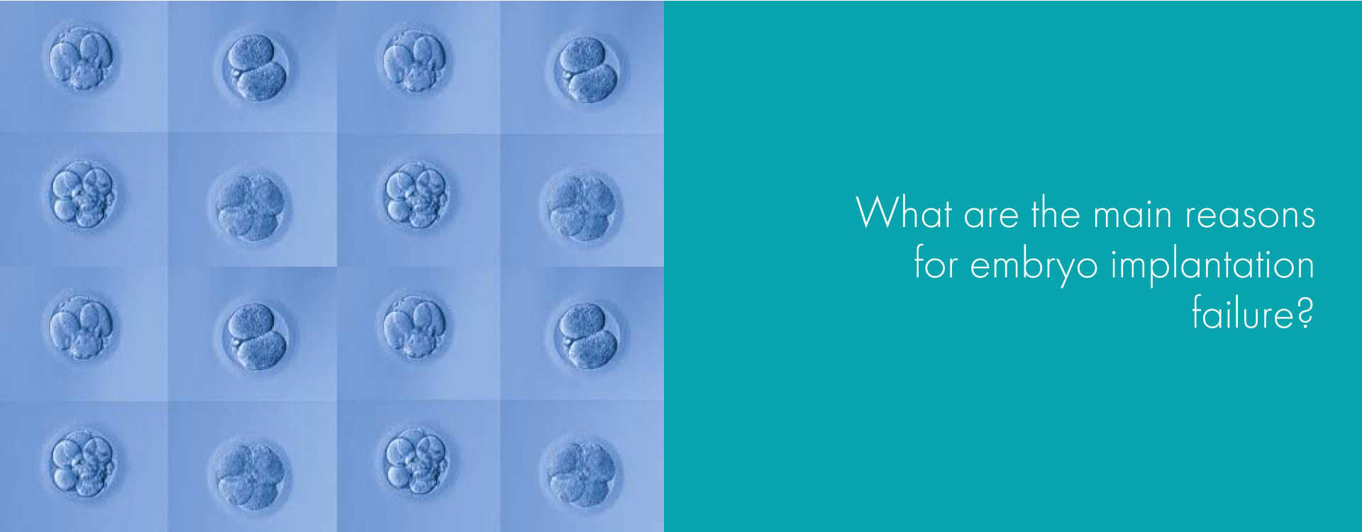 What are the main reasons for embryo implantation failure?