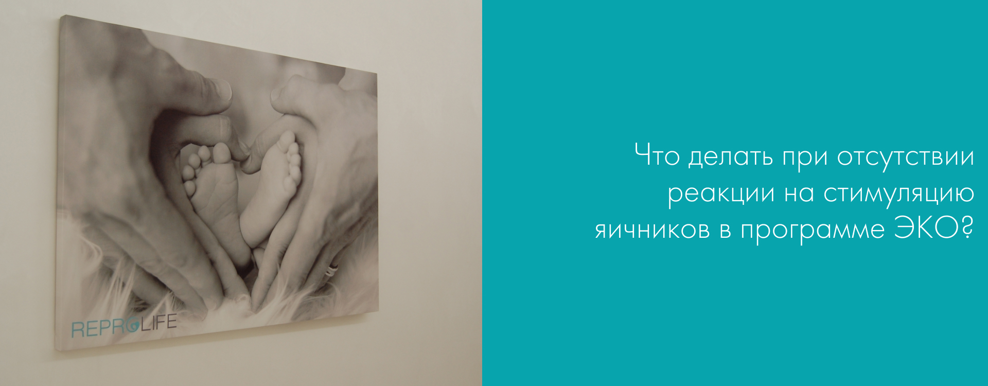 Что делать, когда нет реакции на стимуляцию яичников в программе ЭКО?