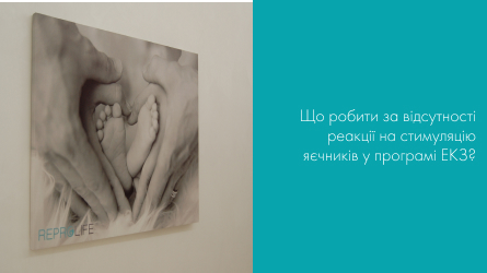 Що робити за відсутності реакції на стимуляцію яєчників у програмі ЕКЗ
