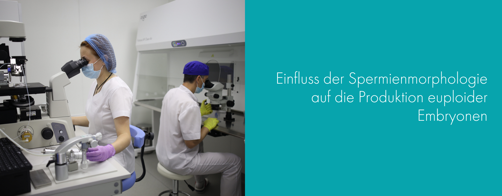 Der Einfluss der Spermienmorphologie auf die Gewinnung euploider Embryonen.