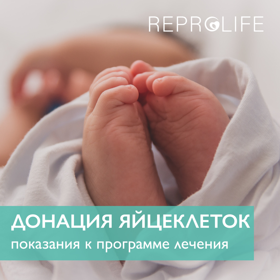 Донация яйцеклеток: показания к программе лечения