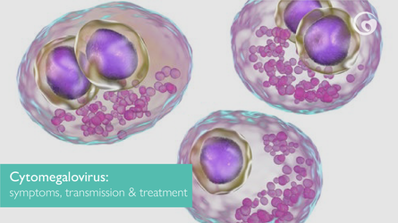 Cytomegalovirus: symptoms, transmission and treatment