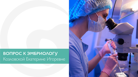 Вопрос к эмбриологу Козловской Екатерине Игоревне