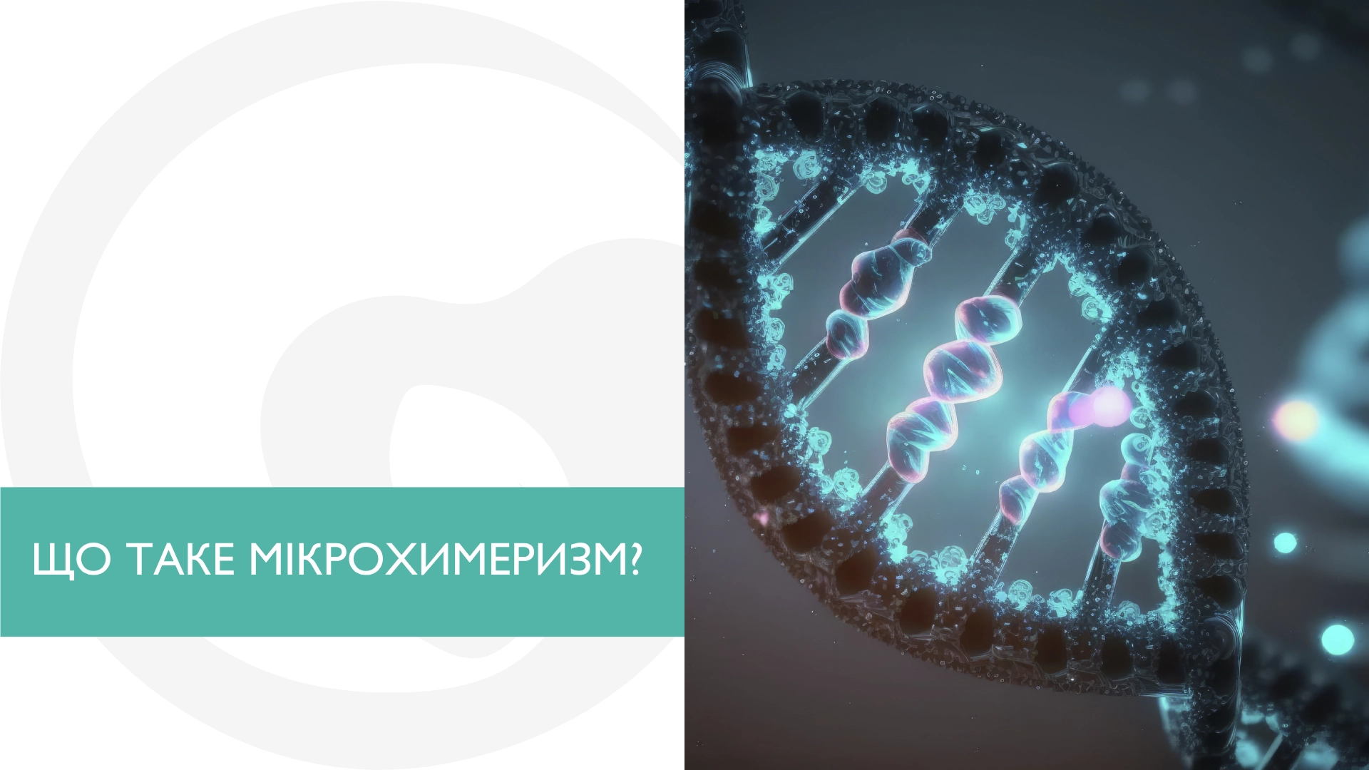 Мікрохимеризм