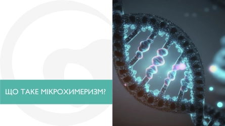 Що таке мікрохимеризм?