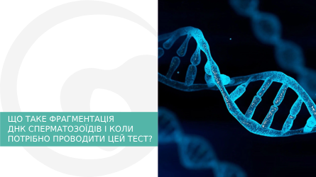 Що таке тест на визначення фрагментації ДНК сперматозоїдів і коли потрібно проводити?