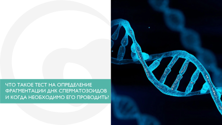 Что такое тест на определение фрагментации ДНК сперматозоидов и когда необходимо его проводить?
