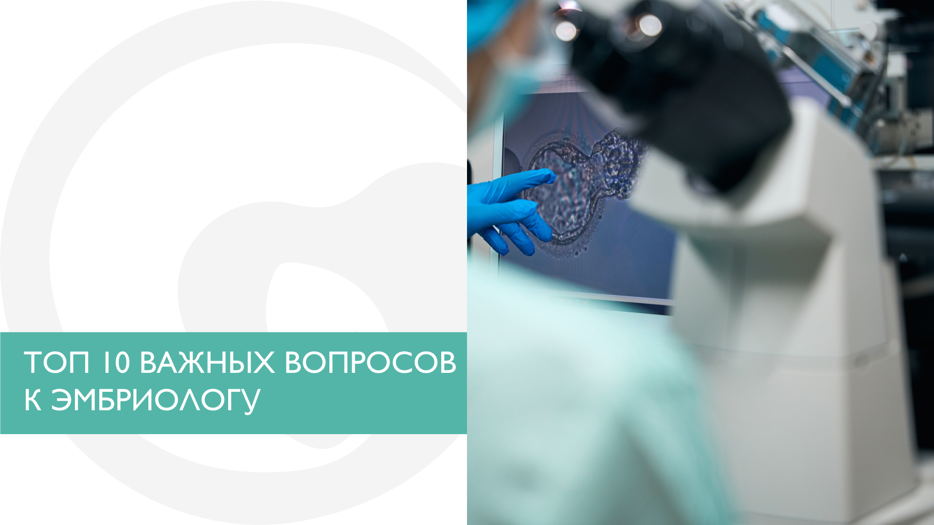 ТОП 10 ВАЖНЫХ ВОПРОСОВ К ЭМБРИОЛОГУ