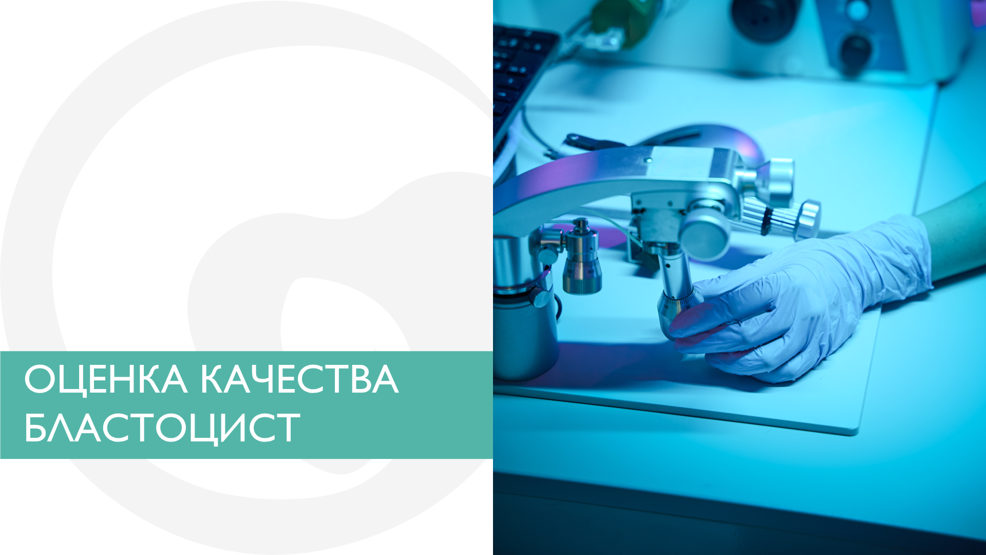 Оценка качества бластоцист