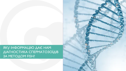 Яку інформацію дає нам діагностика сперматозоїдів за методом FISH?
