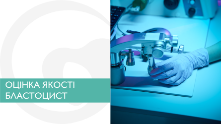 Оцінка якості бластоцист