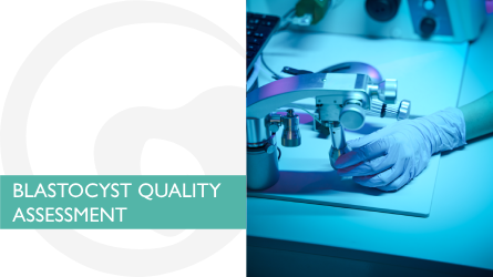 Blastocyst Quality Assessment  