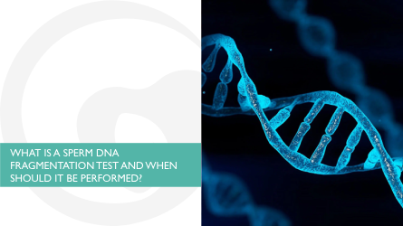 What is a sperm DNA fragmentation test and when should it be performed?