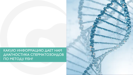 Какую информацию дает нам диагностика сперматозоидов по методу FISH?