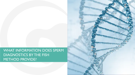 What information does sperm diagnostics by the FISH method provide?