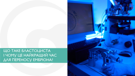 Що таке бластоциста і чому це найкращий час для переносу ембріона?