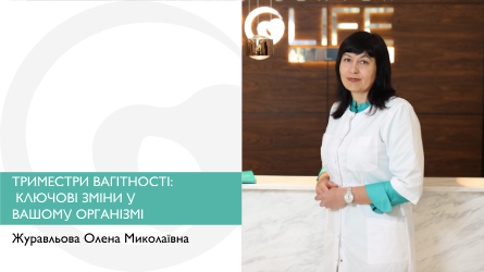 Триместри вагітності: ключові зміни у Вашому організмі.
