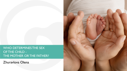 Who determines the sex of the child — the mother or the father?
