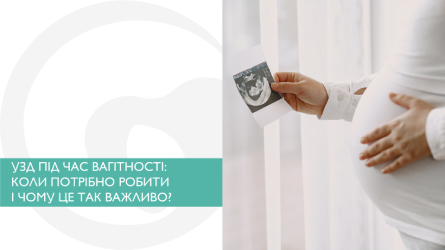 УЗИ во время беременности: когда нужно делать и почему это так важно