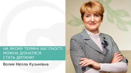 На каком сроке беременности можно узнать пол ребенка?