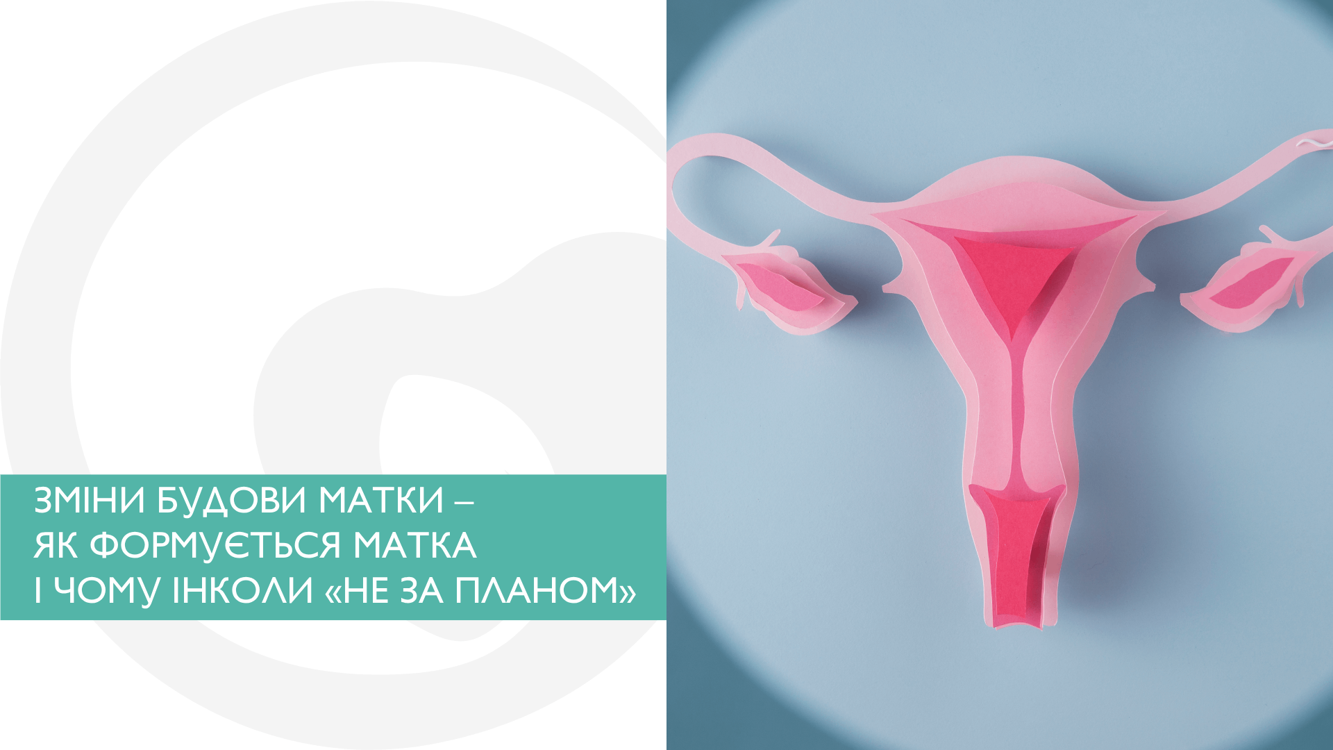 ЗМІНИ БУДОВИ МАТКИ – ЯК ФОРМУЄТЬСЯ МАТКА І ЧОМУ ІНКОЛИ «НЕ ЗА ПЛАНОМ»