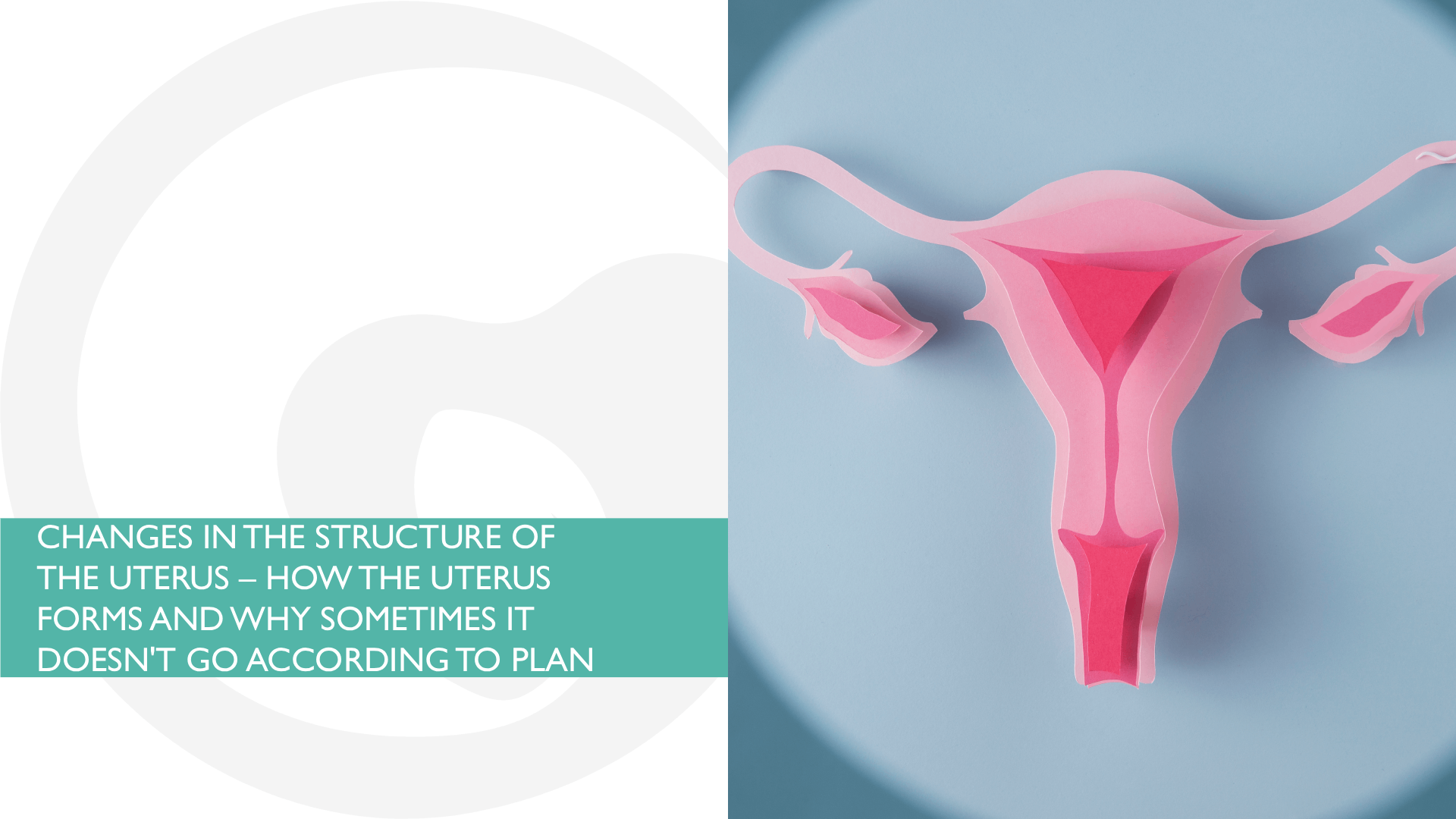 CHANGES IN THE STRUCTURE OF THE UTERUS – HOW THE UTERUS FORMS AND WHY SOMETIMES IT DOESN'T GO ACCORDING TO PLAN