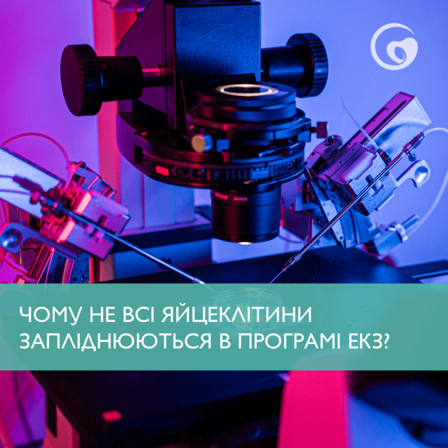 ЧОМУ НЕ ВСІ ЯЙЦЕКЛІТИНИ ЗАПЛІДНЮЮТЬСЯ В ПРОГРАМІ ЕКЗ?
