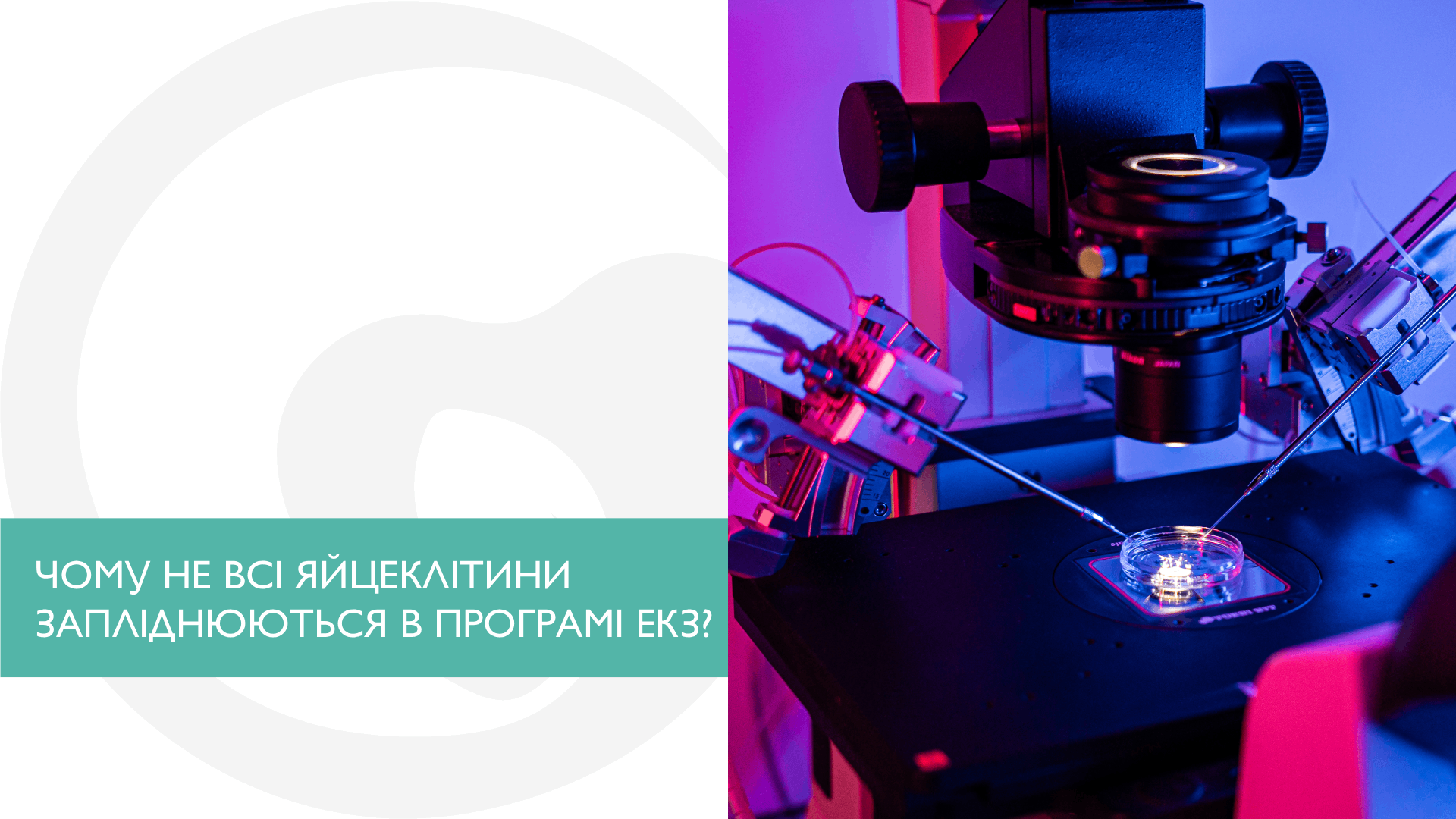 ЧОМУ НЕ ВСІ ЯЙЦЕКЛІТИНИ ЗАПЛІДНЮЮТЬСЯ В ПРОГРАМІ ЕКЗ?