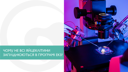 Чому не всі яйцеклітини запліднюються в програмі ЕКЗ?